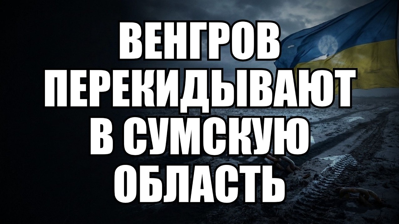 💥Утренний выпуск новостей 17.08.26